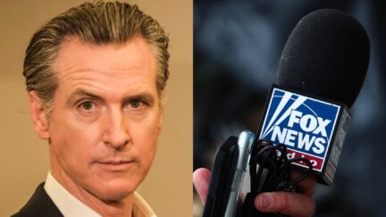 Gavin Newsom