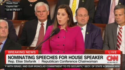 Elise Stefanik