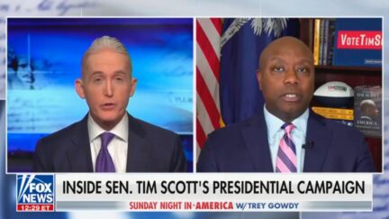 Trey Gowdy and Tim Scott