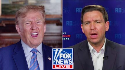 Trump Camp Gleefully Roasts Rival Getting 'Spanked on Fox News' — They Use The 'Spanking' Thing A Lot