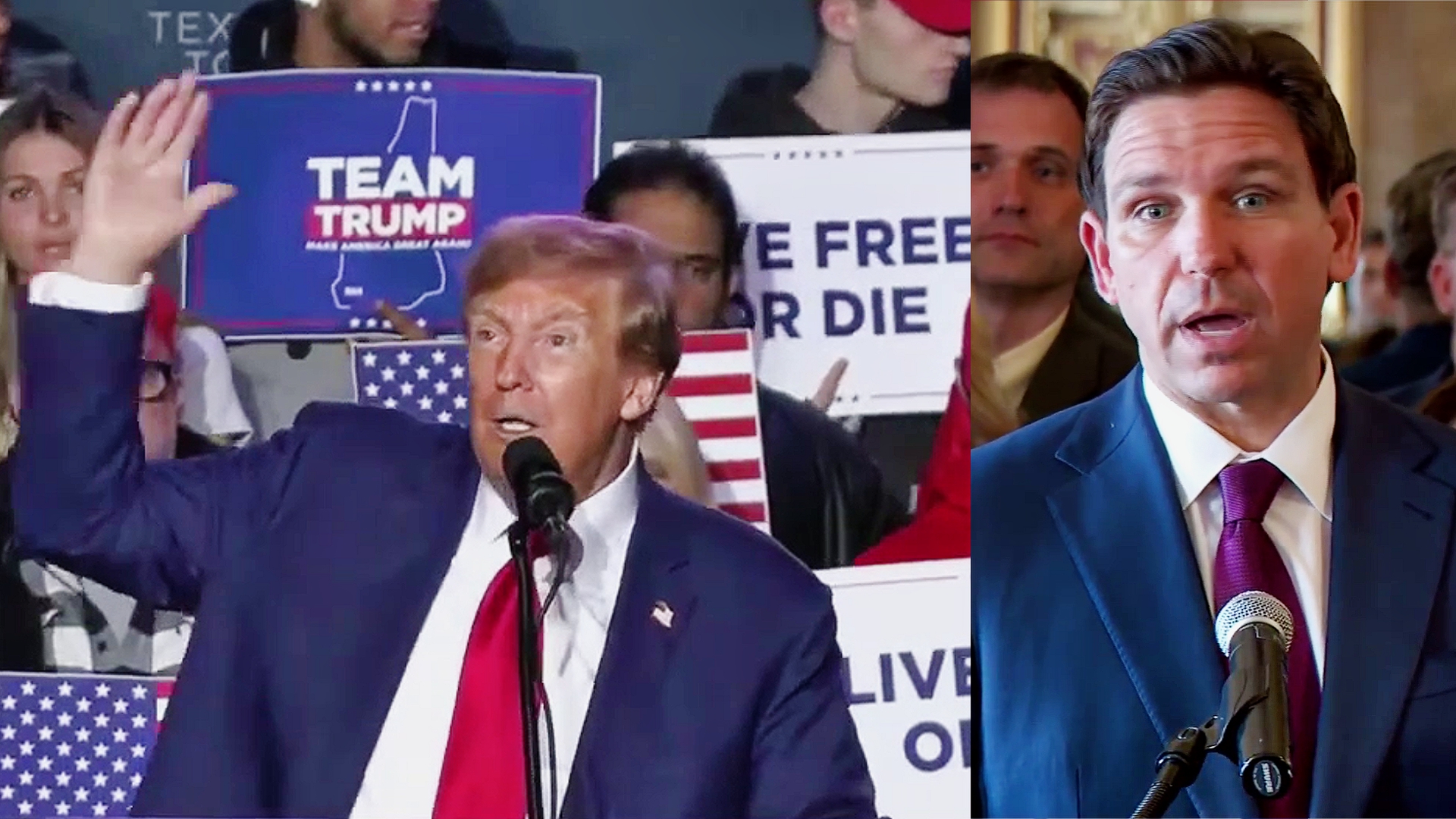 'Falling Violently From The Sky!' Trump Goes On Vivid Bird-Invoking Rant About Rival's Campaign 