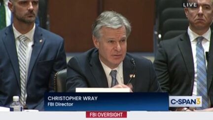 📺 Christopher Wray Calmly Explains to Senator John ‘Cornnpone’ Kennedy (R-LA) Why the FBI Did Not Comment on Hunter Biden’s Laptop Before the 2020 Election (mediaite.com)