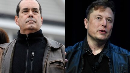 David Wheeler and Elon Musk