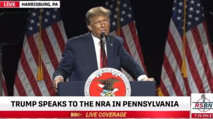 Donald Trump NRA rally