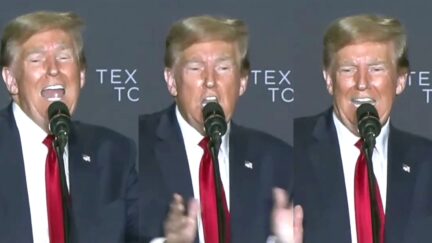 Trump Rants At Rally About Getting Hit Over Gaffes He Definitely Did On Purpose