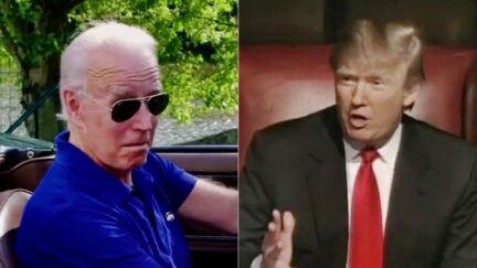 Biden Team Taunts Trump With Apprentice Reference After More Than Doubling Fundraising In Feb