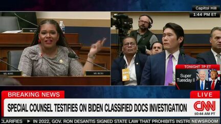 Dem Lashes Out At Ex-'White-Supremacist-In-Chief' Trump At Hearing In Scathing Rant On 'Mental Acuity'-2024-03-12