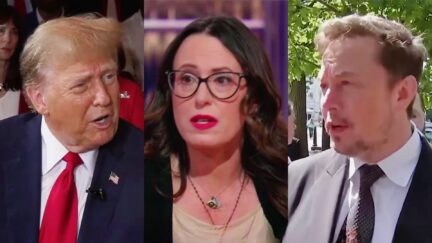 Maggie Haberman Trumpworld Sources Confirm Cash-Strapped Trump Met With Elon Musk At Donor Klatch