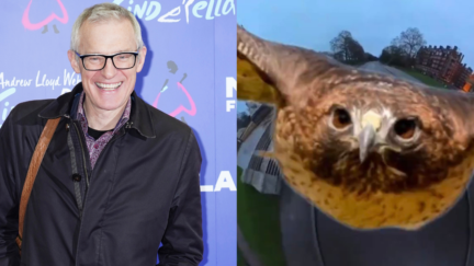 Jeremy Vine