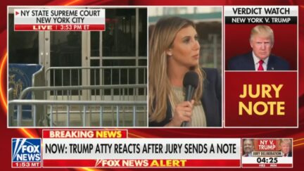 Alina Habba on Fox News