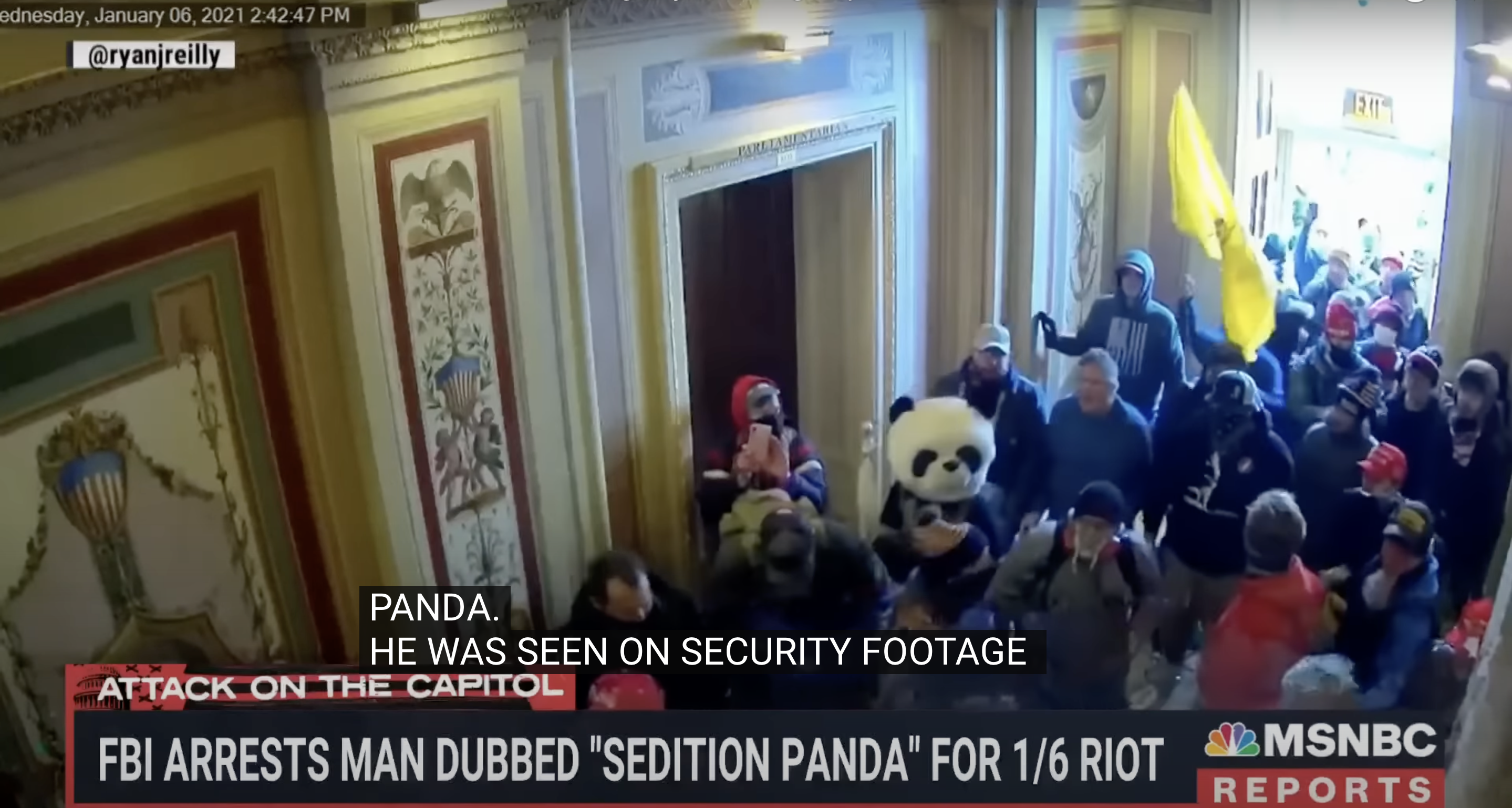 ‘Sedition Panda’ Convicted of Assaulting Police Officer During Capitol Riot (mediaite.com)