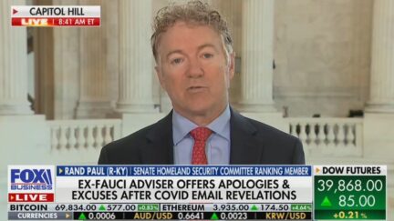 Rand Paul Blasts Fauci's 'Fixer' After Tense Testimony