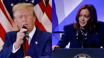 'Cheaters Don’t Like Getting Caught!' Kamala Harris Goes After Trump For Assailing Felony Guilty Verdicts