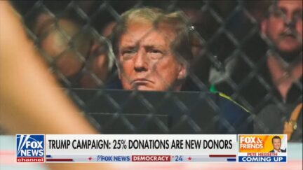 Donald Trump behind a fence