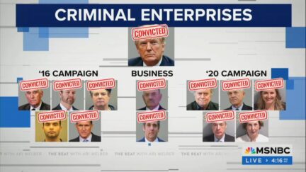 Ari Melber's Trump Criminality flow chart