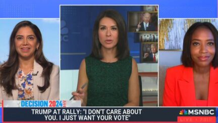 Ana Cabrera Asks If There's 'Truth' in Trump Telling Crowd He Doesn't 'Care' About Them