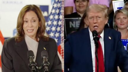 A-TOP 'Adjudicated Rapist!' Kamala Harris And Media Allies Pound Trump Over Sexual Abuse Case After Biden Dropout