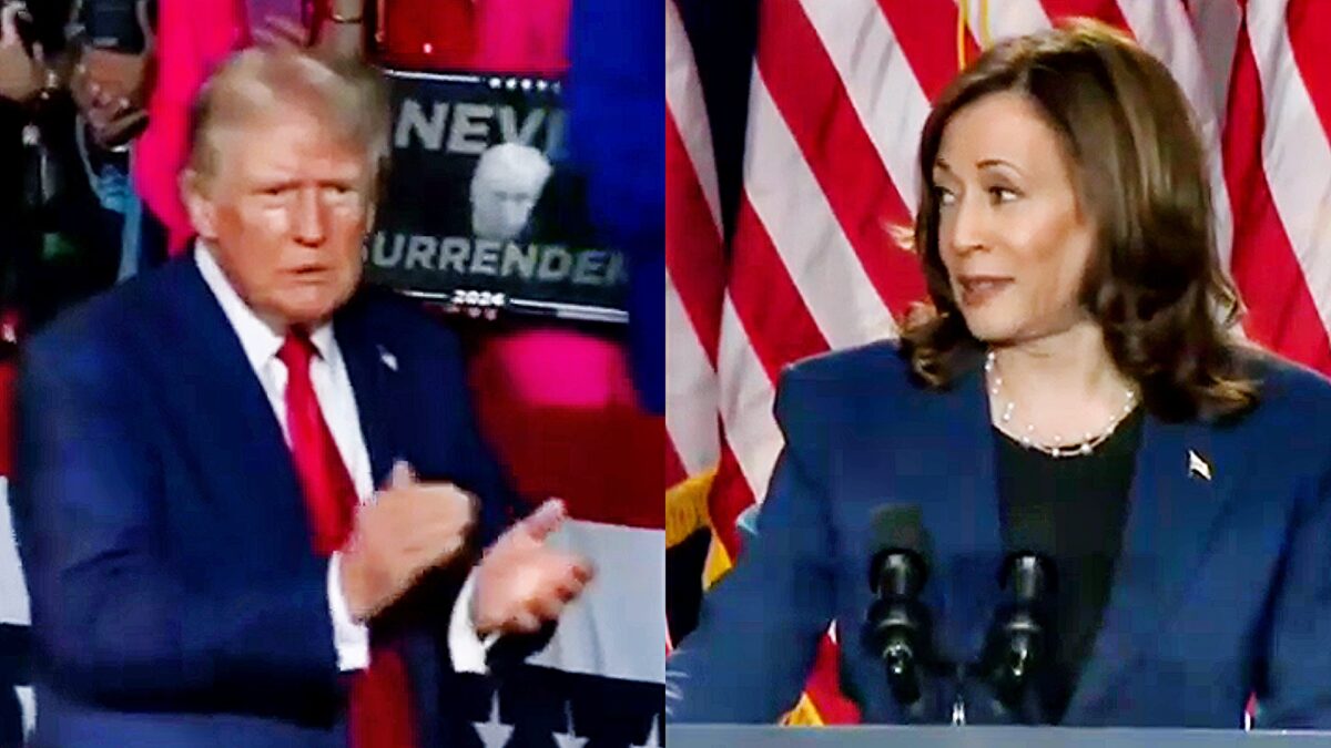 'Is Donald Trump OK' Kamala Harris Camp Hits Back At '78-Year-Old Criminal' Trump's Fox News Interview