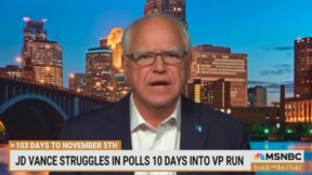 Tim Walz on MSNBC
