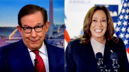 CNN's Chris Wallace Pitches Himself For Kamala Harris To Prove She Can Face 'Tough Interviewer'-2024-08-03