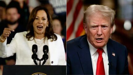 'NEVER AGAIN!' Kamala Harris Gets Fired Up Torching Trump At Rally Over Terminating The Constitution, Immunity