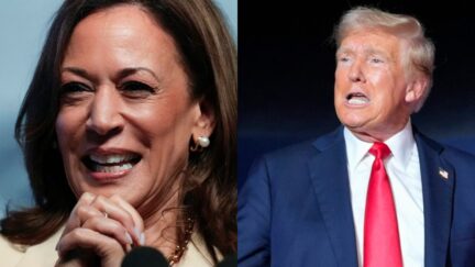 Kamala Harris and Donald Trump