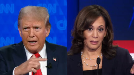 Donald Trump Kamala Harris