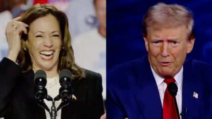 Crowd Howls As Kamala Harris Roasts Trump Over 'Concepts Of A Plan' Debate Moment