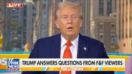 Donald Trump talking about cows