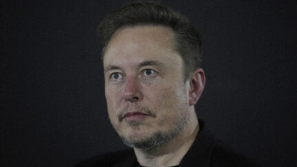 Musk