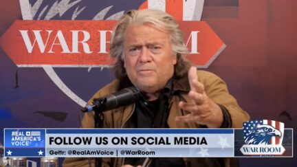 Steve Bannon Blasts MAGA 'Convert' Elon Musk