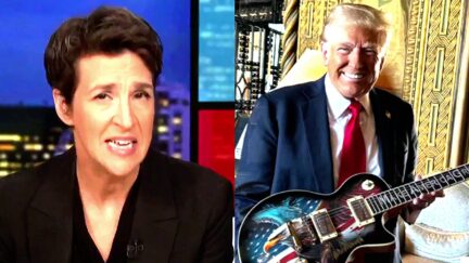 MSNBC-s-Maddow-Rips-Trump-Nominees-To-Shreds-In-Brutal-Commentary-On-Classless-and-Tacky-Transition