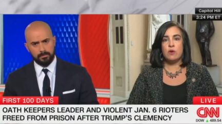Boris Sanchez and Nicole Malliotakis