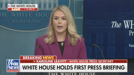 White House Press Secretary Karoline Leavitt