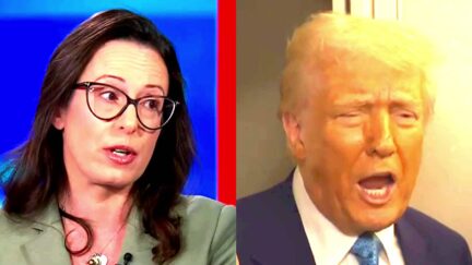Maggie Haberman Says Trump Doesn't Think About 'What Comes Next' — Wild Comments Are 'About Flexing Muscle'-2025-02-19