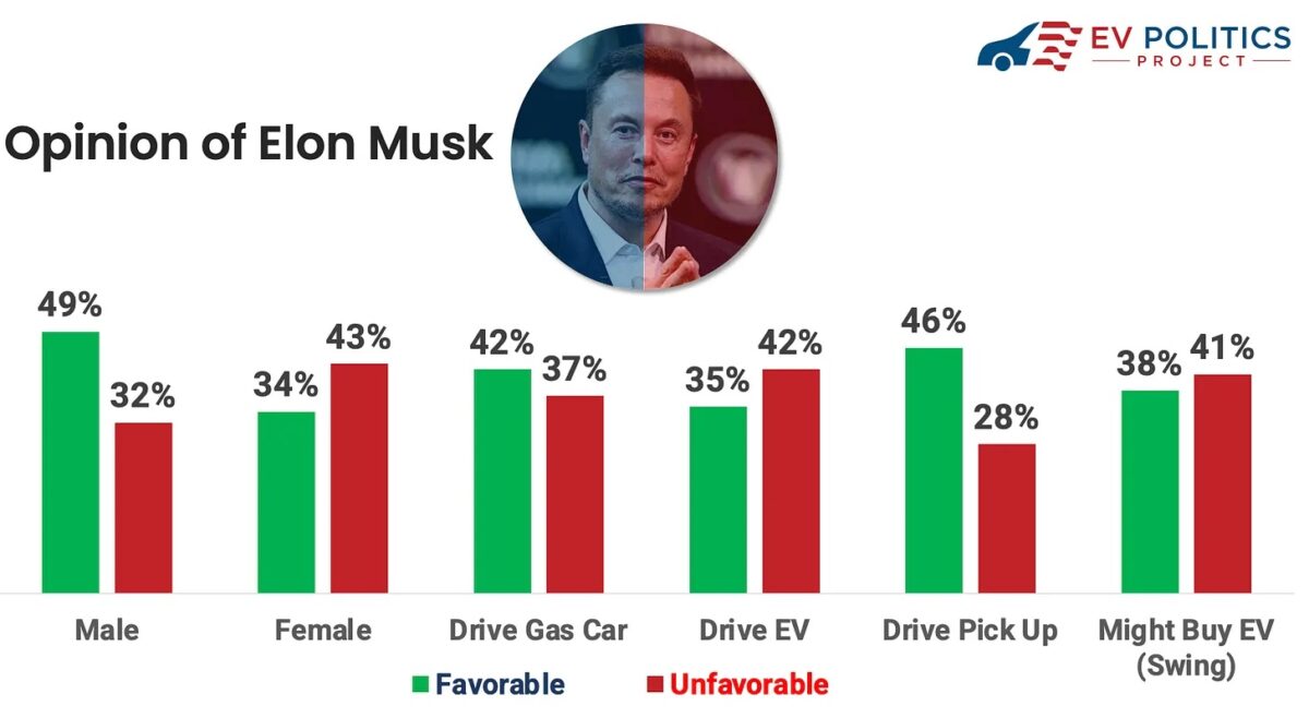 elon musk opinion polls
