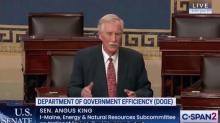 Angus King