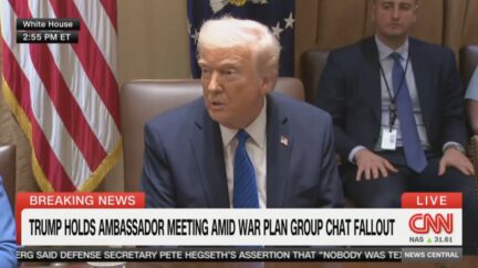 Donald Trump shuts down Kaitlan Collins over question about Signal chat