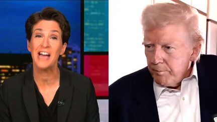 MSNBC's Rachel Maddow Gleefully Roasts 'Rejected And Hated' Trump Over Brutal Blizzard Of Polls