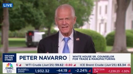 Peter Navarro