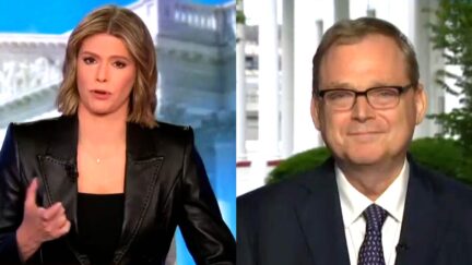 CNN Anchor Grills Trump Econ Nerd On If He's Ever Seen Elon Musk Doing A Drug