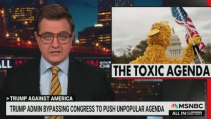 Chris Hayes