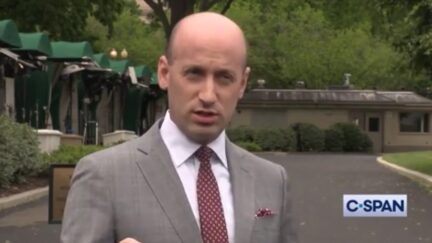 Stephen Miller