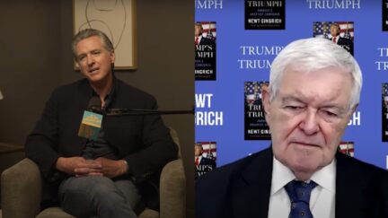 Newt Gingrich and Gavin Newsom Debate Trump