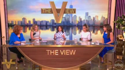 View Hosts Dismiss Biden Decline Book