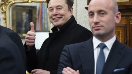 Elon Musk and Stephen Miller