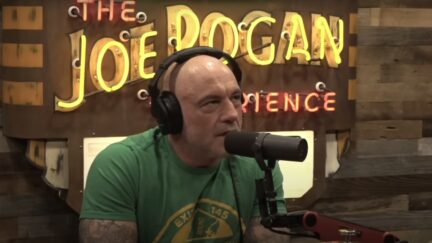Joe Rogan Says Someone Should Take Elon Musk's Phone Away