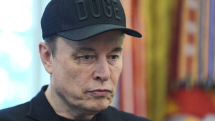 Elon Musk