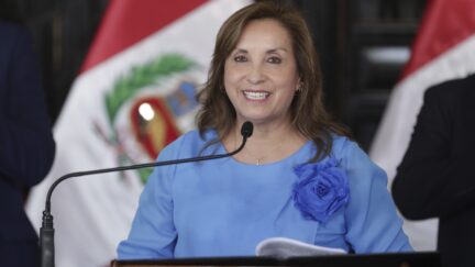 Peruvian President Dina Boluarte