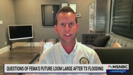 Jared Moskowitz on MSNBC